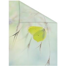 Lichtblick Fensterfolie Schmetterling grün B/L: ca. 100x180 cm (B x L)