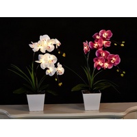 FANStek Künstliche Phalaenopsis-Orchidee, batteriebetrieben, 50 cm, batteriebetrieben, mit 9 Lichtern (lila)