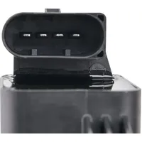 BERU BorgWarner (BERU) Zündspule