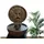 könige hausdeko gmbh Springbrunnen Bocca Della Verità