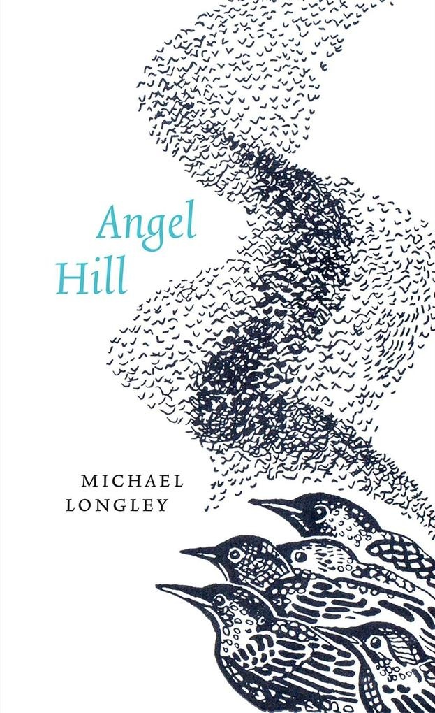 Angel Hill: eBook von Michael Longley