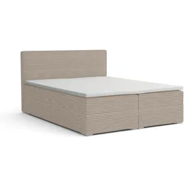 dein schlaf 24 BOXBETT LON III 200/200 in Cord Beige H3 - Beige