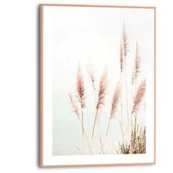 Poster REINDERS "Pampasgras", beige (farbe bild(er): beige), B:30cm H:40cm T:1,6cm, MDF, Bilder