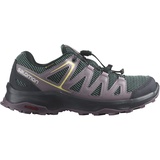 Salomon Custer Gore-Tex Damen ebony/moonscape/quail 40