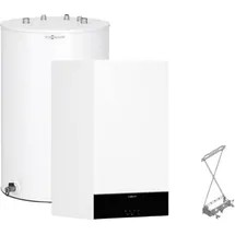 Viessmann Vitodens 100-W 19 kW