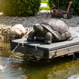esotec Solar Wasserspeier Set Schildkröte Maru + Pumpe 54x32x23cm 101673