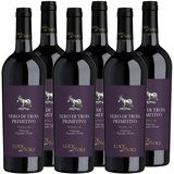 Nero di Troia Primitivo Puglia IGT "Luce del Sole" Rotwein Apulien trocken (6 x 0.75l)