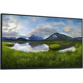 Dell P2425HE WOST (ohne Standfuß), 23.81" (210-BMTC)