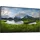Dell P2425HE WOST (ohne Standfuß), 23.81" (210-BMTC)