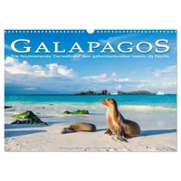 Calvendo Die faszinierende Tierwelt der Galapagos-Inseln (Wandkalender 2026 DIN