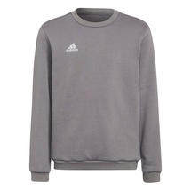 Adidas Entrada 22 Sweatshirt Kinder grau 116