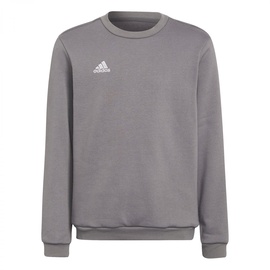 Adidas Entrada 22 Sweatshirt Kinder grau 116