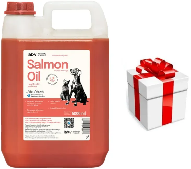 Lab-v Lachsöl – 100 % Lachsöl für Hunde und Katzen 5000 ml + Überraschung für den Hund