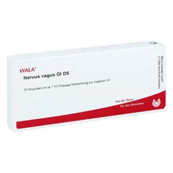 Nervus Vagus Gl D5 Ampullen