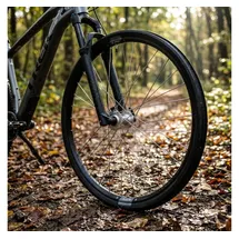 Winora Bike-Parts Laufrad|Vorderrad 29 Deore 6-Loch silber SSP 32L Ryde Rival 19 Disc schw.Niro-Spei.