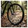 Winora Bike-Parts Laufrad|Vorderrad 29 Deore 6-Loch silber SSP 32L Ryde Rival 19 Disc schw.Niro-Spei.