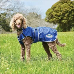 Hundemantel Weatherbeeta ComFiTec Windbreaker Free Deluxe BLAU|wolkiges Blau|grau 45 CM