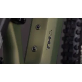 Cube AMS Hybrid 177 C:62 TM 600X 29/27,5 Zoll M reedgreen'n'matrix