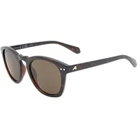 Alpina - Sunbeam, S3 - Sonnenbrille braun