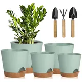 luxuskollektion 5er Pack 17,8 x 12,7 cm Grün