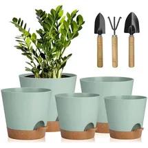 luxuskollektion 5er Pack 17,8 x 12,7 cm Grün