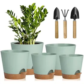 luxuskollektion 5er Pack 17,8 x 12,7 cm Grün