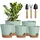 luxuskollektion 5er Pack 17,8 x 12,7 cm Grün
