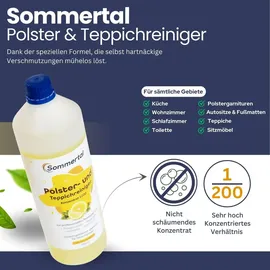 sommertal CompactCleaner WS450