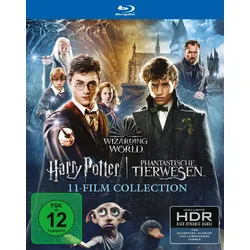 Wizarding World 11-Film Collection  [11 BRs]