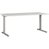 Germania Schreibtisch GW-Profi 2.0 lichtgrau/silber