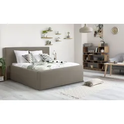 Polsterbett INOSIGN "Dalina", beige, B:211cm H:124cm L:247cm, Struktur (100% Polyester), Betten, geradliniges Kopfteil, in 5 Breiten, auch in 220cm Länge