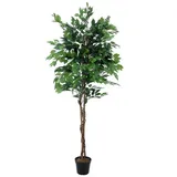 Europalms Ficus-Benjamini Multi-Stamm, Kunstpflanze, 210cm