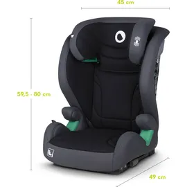 lionelo IGO i-Size Grau