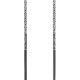 Salomon Polar Stöcke - Grey Violet - 110 cm