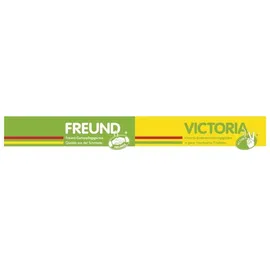 Freund Victoria Schneeschieber Aluminium 50 cm