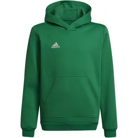 adidas Entrada 22 Sweat Hoodie Kinder - Team green/white, 116