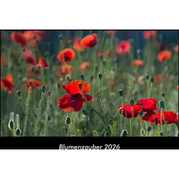 Vero Kalender Blumenzauber 2026 Fotokalender DIN A3 Kevin Heber/