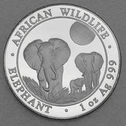 Silbermünze 1oz Elefant 2014 African Wildlife (Somalia)