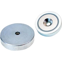 kompatible Ware Beloh NdFeB-Flachgreifer Neodym Magnet mit Bohrung 16 x 4,5mm - BM 33.401/C