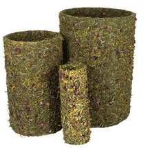 JR Farm JR Frühlings-Rolle groß