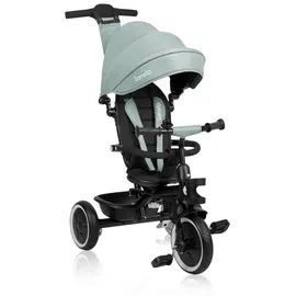 lionelo Berry Multifunktionales Dreirad und Kinderwagen von 9 Monaten bis 5 Jahren bis zu 25 kg Große PU-Räder, Dreirad-Drehsitz 360° Montage ohne Werkzeug