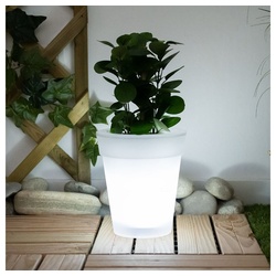 etc-shop Gartenleuchte, LED-Leuchtmittel fest verbaut, Neutralweiß, Solar LED Blumenkübel Blumentopf Blumentopf leuchtend Solar weiß