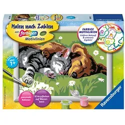 Ravensburger Malen-nach-Zahlen Tiefer Schlaf mehrfarbig