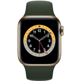 Apple Watch Series 6 GPS + Cellular 40 mm Edelstahlgehäuse gold Sportarmband zyperngrün