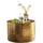 KADIMA DESIGN Gold Aluminium 61 x 40,5 x 61 cm