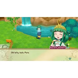 Story of Seasons: Friends of Mineral Town