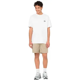 Dickies Pelican Shorts Beige L