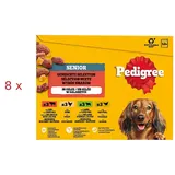 PEDIGREE Senior Frischebeutel Multipack in Gelee - Sparpaket: Gemischte Selektion in Gelee (4 Varietäten) x 100 g