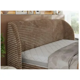 MKS Meble Polsterbett mit Bettkasten CAELA CLASSIC - braun ¦ Maße (cm): B: 225 H: 110
