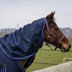 Equithème Classic 1200D 0g Halsteil, Warmblut